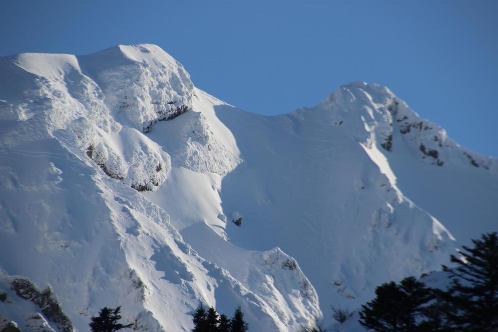 Residence Le Mont Dore 2 Etoiles Eksteriør billede